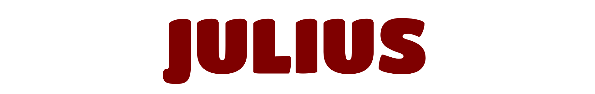 Julius Header Stylized text reading Julius