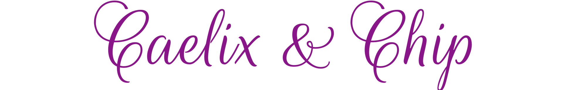 Characters Header Stylized text reading Caelix & Chip